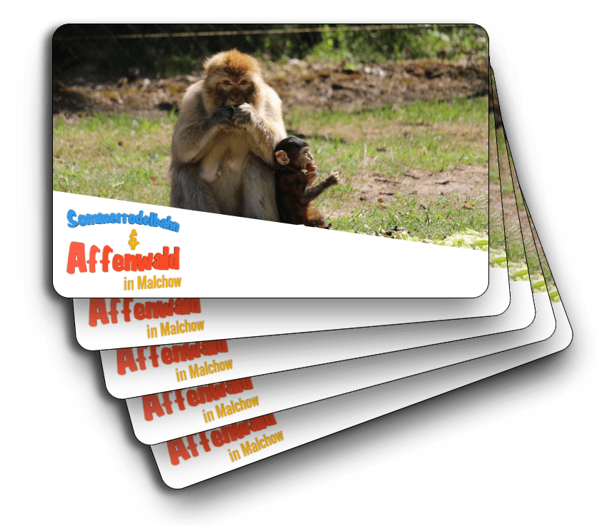 Dieses Bild zeigt einen Preis